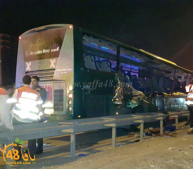 Accjs latroona (2).jpg